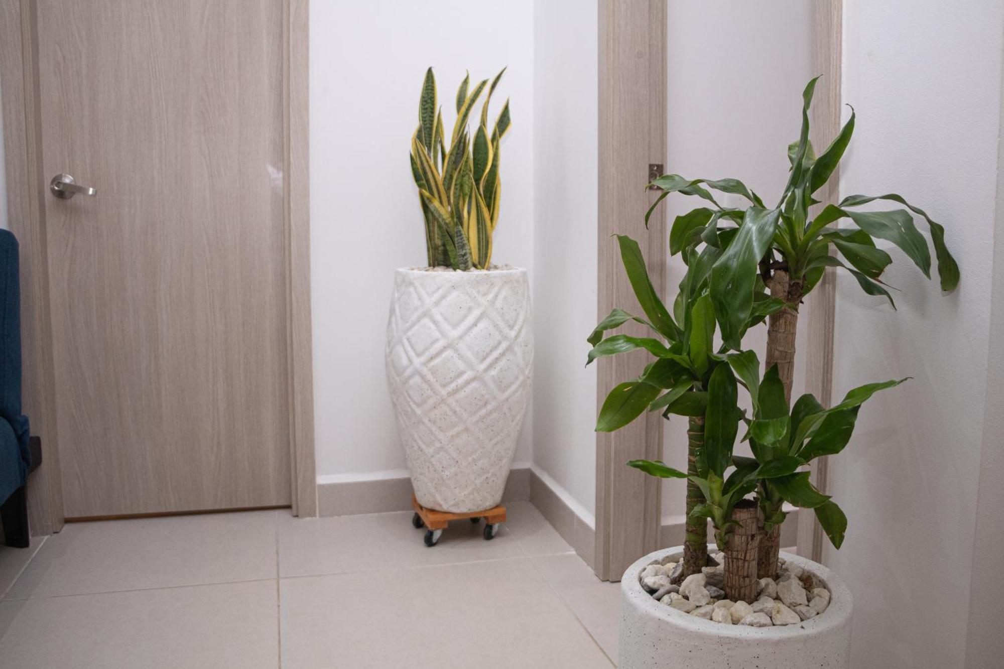 Apartamento De Lujo Frente Al Mar Con Piscina Cartagène Extérieur photo